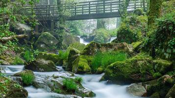 Jardines del alojamiento