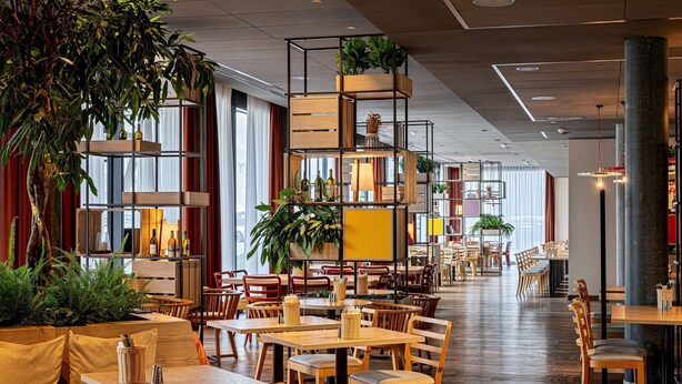 Een ruim restaurant met houten tafels en stoelen, een plantenarrangement in het midden en grote ramen voor natuurlijk licht.
