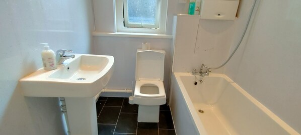 Combined shower/bathtub
