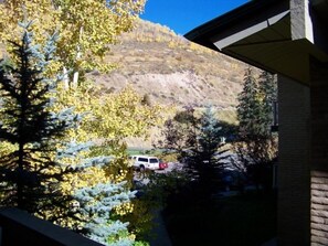 Property grounds - Bright & Sunny Condo with Jacuzzi & Tennis Court (Vail)