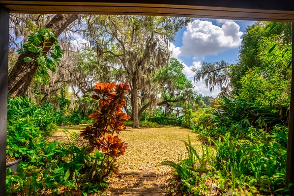 A pathway leading through a lush garden with trees and dense foliage.