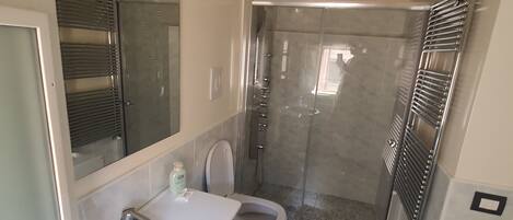 Shower, hair dryer, towels, toilet paper