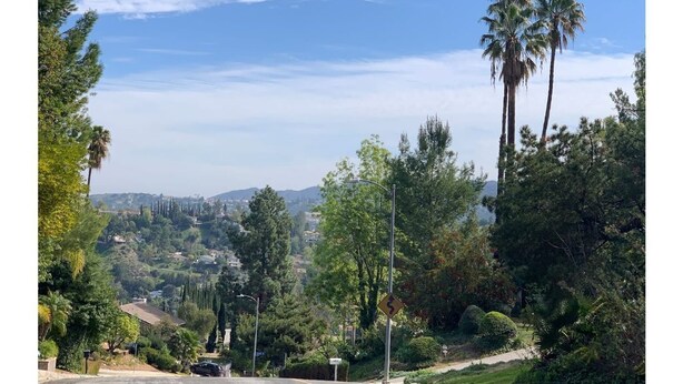 A residential area with palm trees, a winding road, and houses in the background.