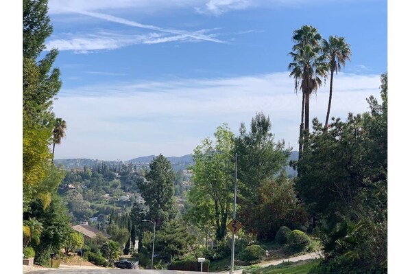 A residential area with palm trees, a winding road, and houses in the background.