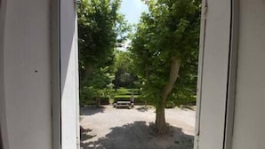 Une vue à travers une porte donnant sur un parking, avec un arbre et un véhicule vert en arrière-plan.