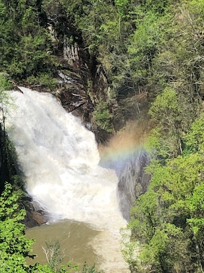 Unclassified image, 4 of 12, button