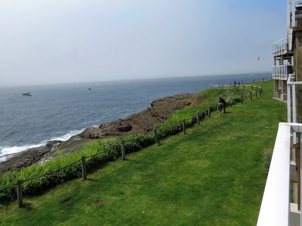 Property grounds - Central Oregon Coast (Depoe Bay)