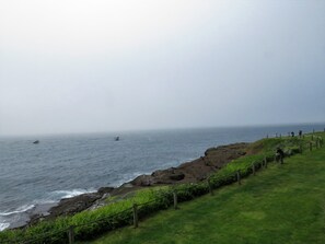Beach - Central Oregon Coast (Depoe Bay)