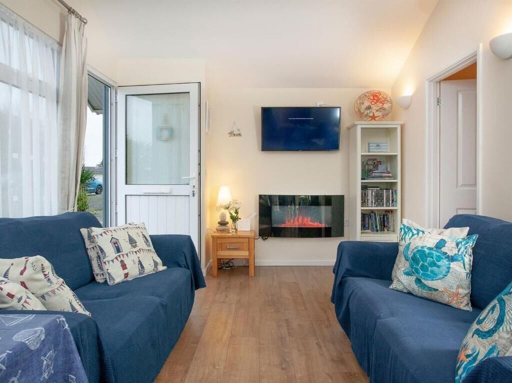 Smart TV, fireplace, DVD player, books