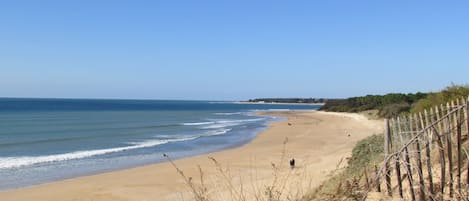 海灘、躺椅、沙灘巾