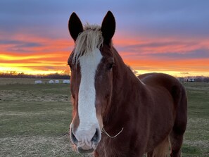 Unclassified image, 3 of 10, button