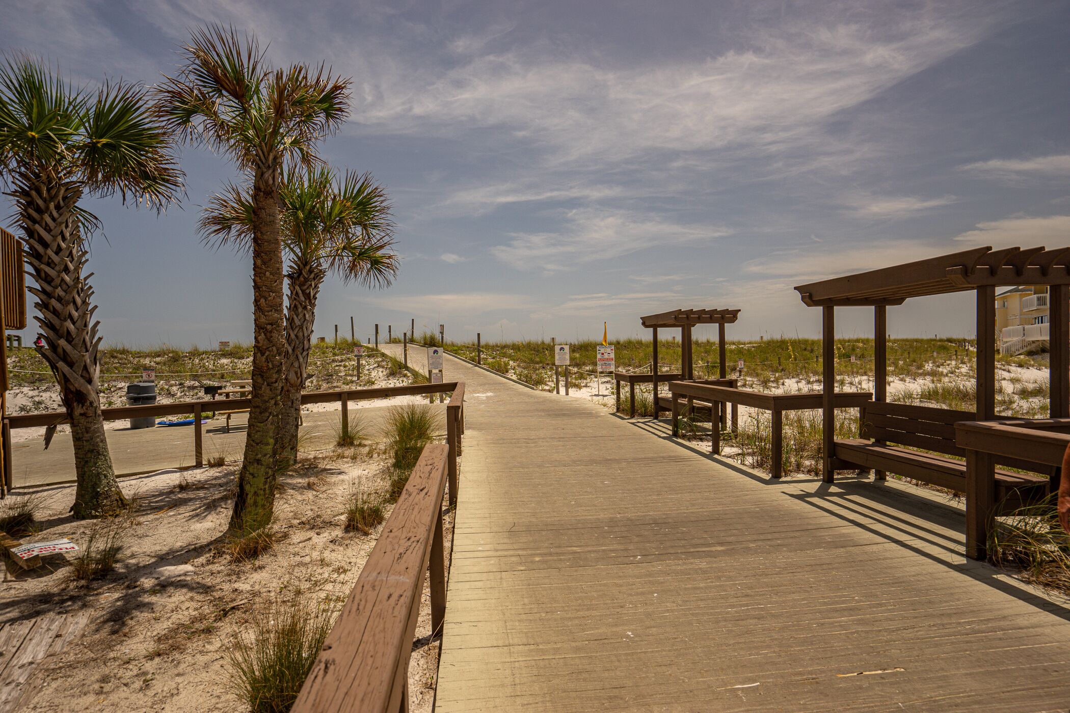A wooden boardwalk with benches, palm trees, and a sandy beach in the background.