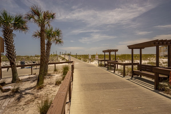 Una pasarela de madera con bancos, palmeras y una playa arenosa al fondo.