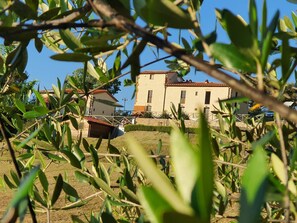 Parco della struttura