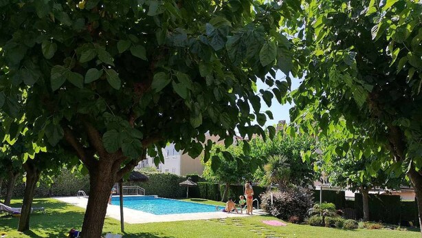 Un patio trasero con piscina, césped y un árbol que da sombra.