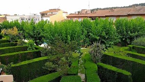 Un jardín ajardinado con setos cuidadosamente podados y un sendero de piedra.