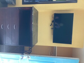Television