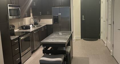 Buckhead Breathe Taking Condo