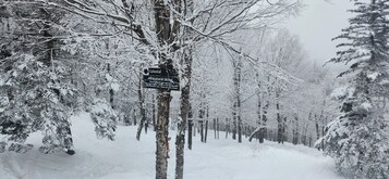 Deportes de invierno y ski