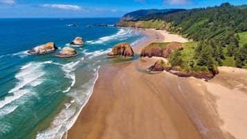 Vue sur la plage/l’océan