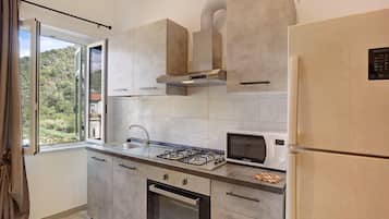 Kühlschrank, Mikrowelle, Ofen, Herdplatte