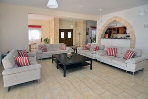 TV, fireplace, video game console, DVD player