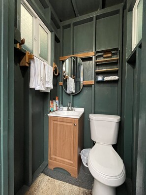 Hair dryer, towels, soap, toilet paper