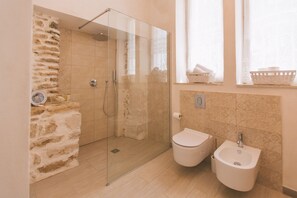 Shower, hair dryer, bidet, towels