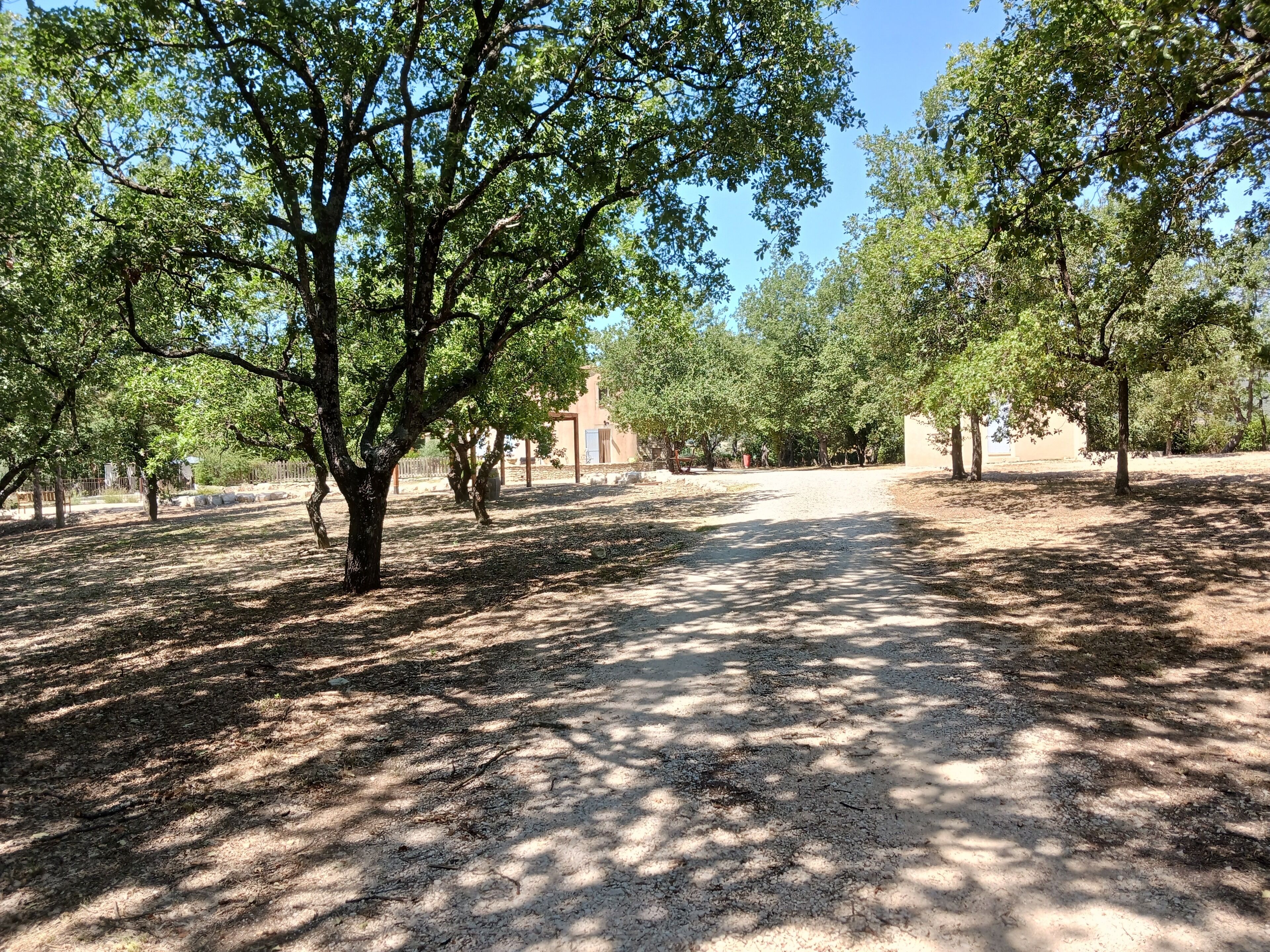 Un espacio al aire libre con árboles y un camino.