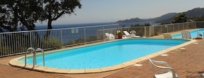 A rectangular swimming pool with a metal railing, surrounded by a paved area with lounge chairs and potted plants. - Stunning new apartment with air conditioning and community pools (Porto-Vecchio)