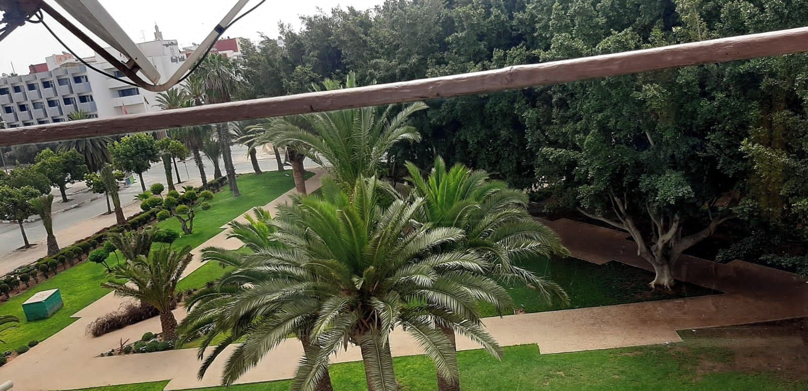 A view of a landscaped area with palm trees and a pathway.