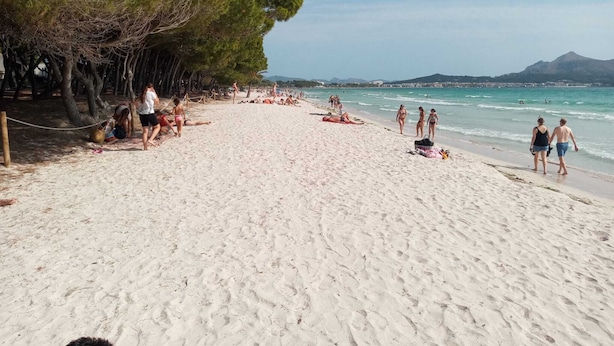Uma praia com pessoas tomando sol e nadando, rodeada por árvores e uma montanha ao fundo.