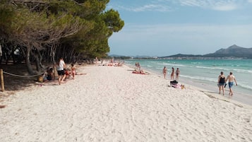 Strandlakens