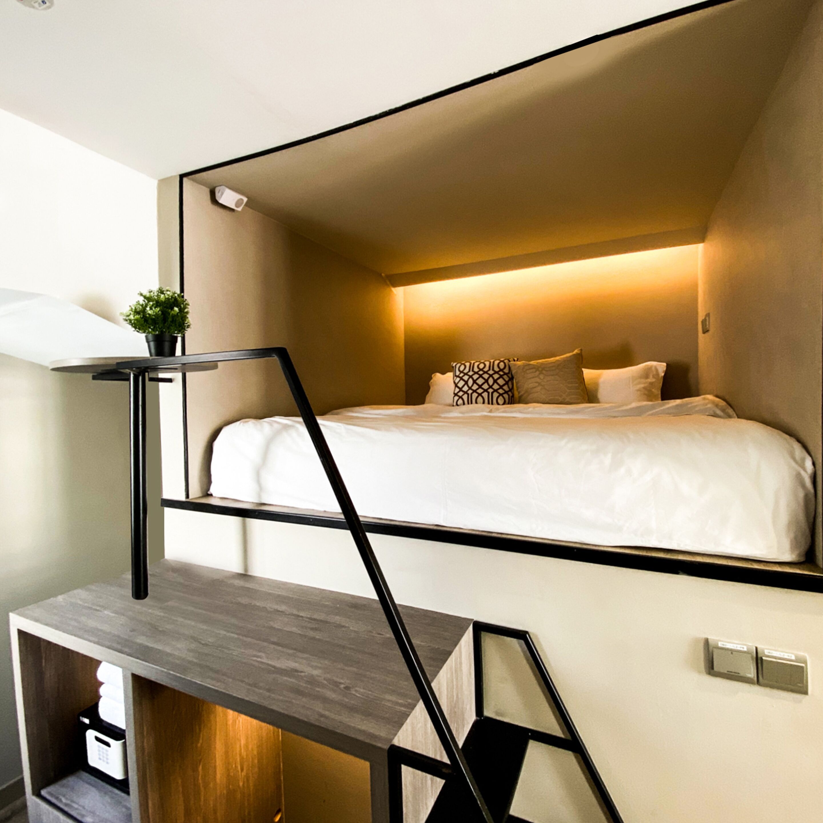 A compact room with a bunk bed, a small desk, and a potted plant.
