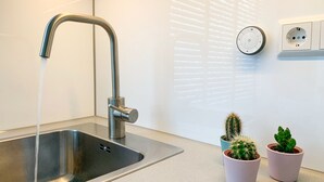 Eine moderne Küche mit einer Edelstahl-Spüle, einem Wasserhahn und einer Steckdose. Auf der Arbeitsplatte befinden sich zwei Sukkulenten in Töpfen.