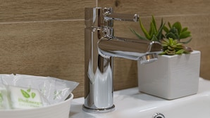 Un lavabo de salle de bain avec un robinet chromé, un bac blanc et une petite plante en pot.