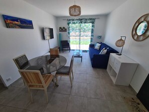 TV, DVD player, books, video library