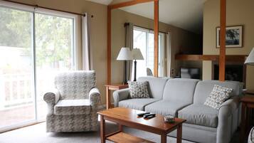 電視、壁爐、DVD 播放機