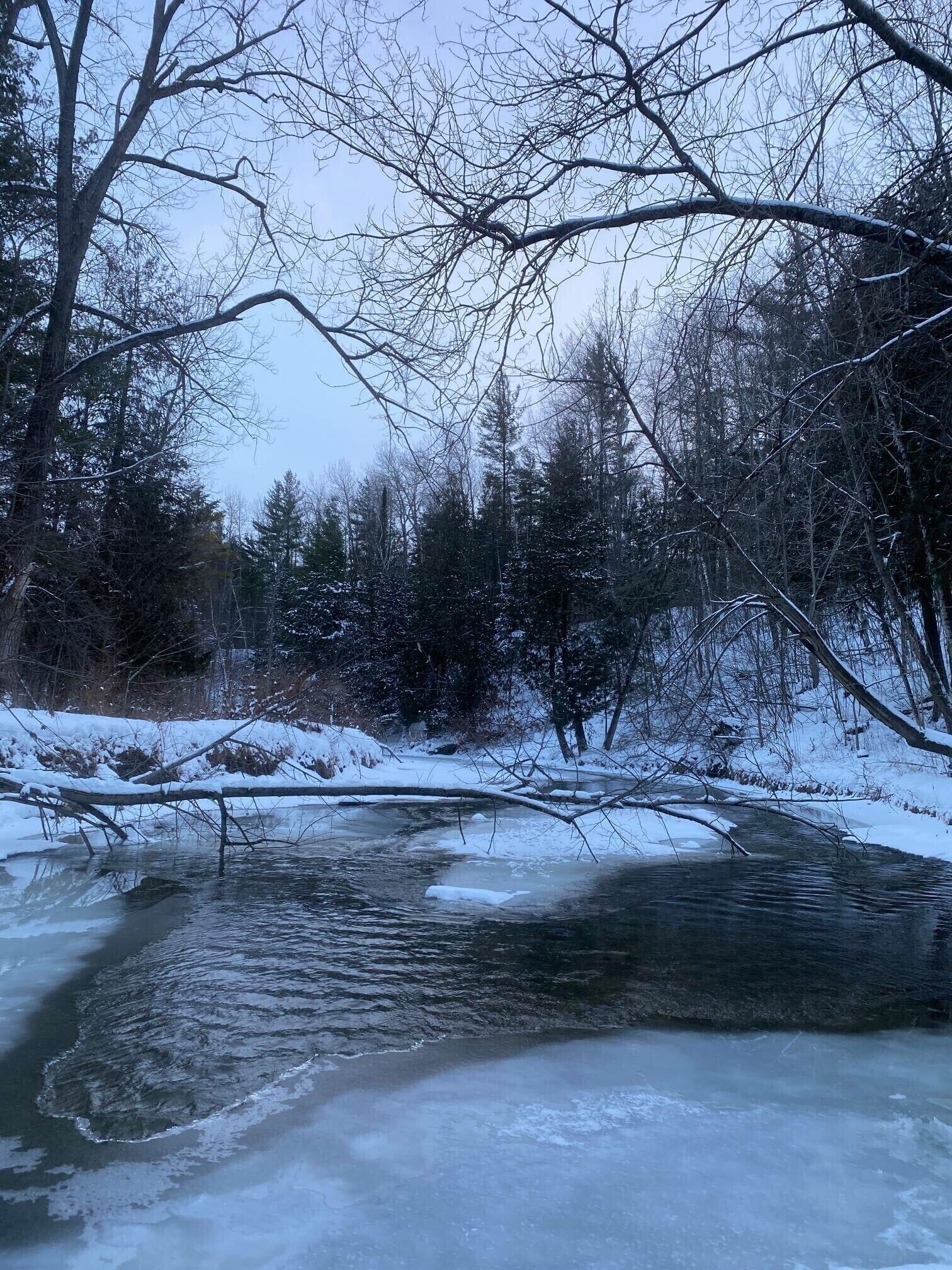 A frozen river with snow-covered trees and a clear sky.