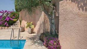 Une piscine avec des marches permettant d’y accéder, entourée d’un jardin où poussent des fleurs violettes et un cactus.