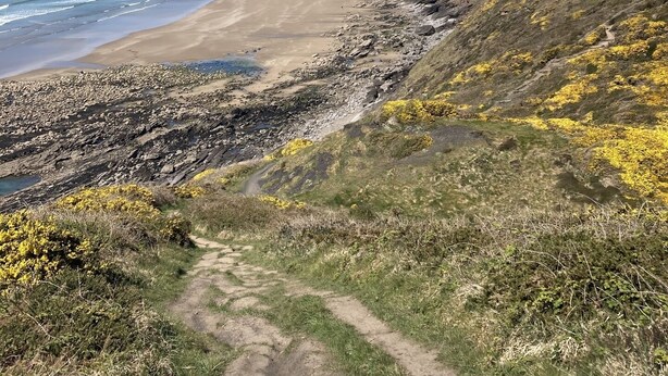 A coastal path leading to a beach with a clear view of the ocean and distant hills. - Pembs Campervan VW T5 Travel and Stay in Style (Haverfordwest)