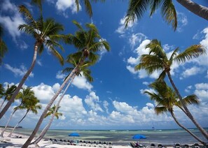 Playa en los alrededores