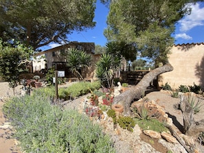 Property grounds - Beautiful Finca Sa Canova Agroturismo in Campos (Campos)