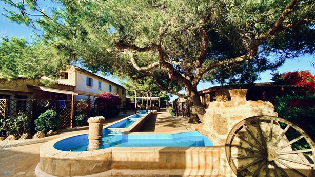 A stone fountain with a circular pool, a rustic wooden wheel, and a large tree providing shade. - Beautiful Finca Sa Canova Agroturismo in Campos (Campos)