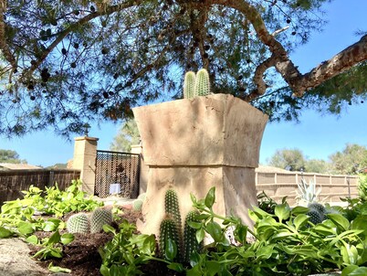 Beautiful Finca Sa Canova Agroturismo in Campos