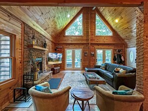TV, fireplace, books, computer monitors