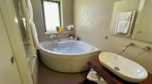Combined shower/bathtub, jetted bath, hair dryer, bidet