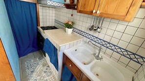 Efficient kitchen space with a stove, sink, and potted plant.