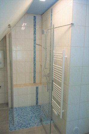Shower, hair dryer, bidet, towels