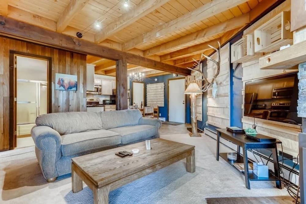 F201 Treehouse 2 Bedroom Condo by RedAwning - Wildernest, CO